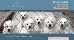 Desktop Screenshot of lincolnparklabs.com